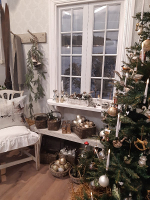 IMG-20251111-WA0068resized